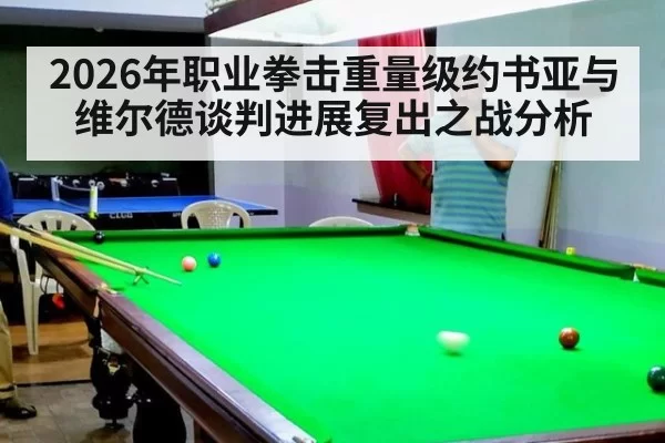 2026年职业拳击重量级约书亚与维尔德谈判进展复出之战分析
